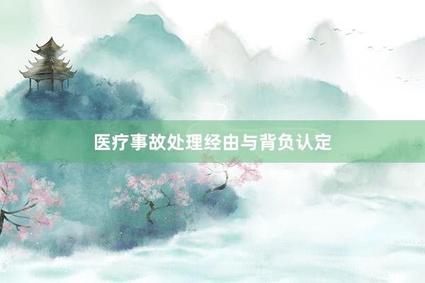 医疗事故处理经由与背负认定