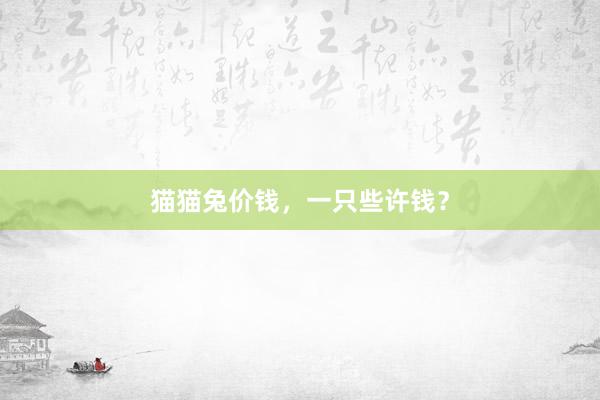猫猫兔价钱，一只些许钱？