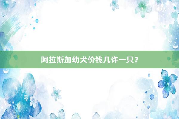 阿拉斯加幼犬价钱几许一只？